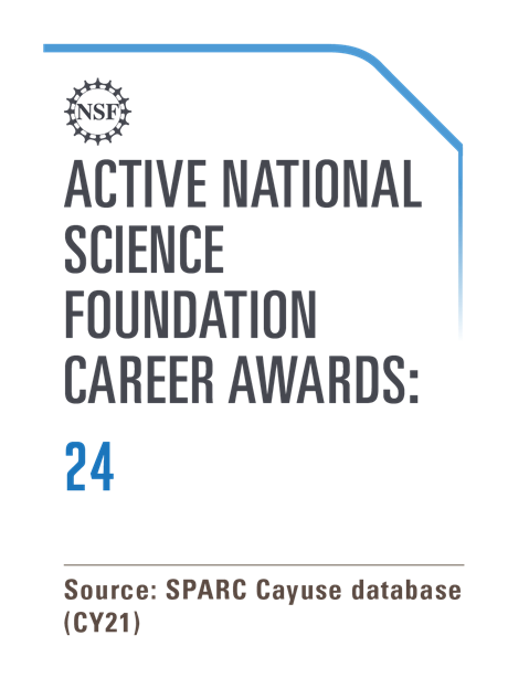 Active National Science Foundation Career Awards